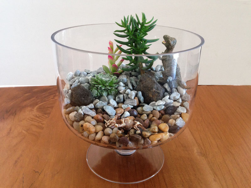 Dinosaur terrarium