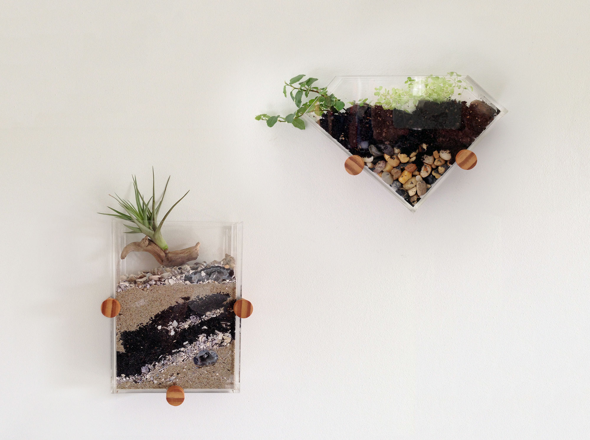 Wall mounted terrariums